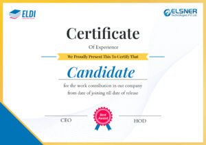 Empowering Professional Growth with the ELDI Certificate